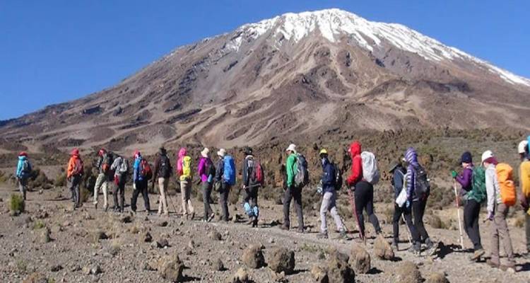 The Best 7-Day Machame Route: Climbing Kilimanjaro's Most Beautiful Path to the Summit - Africa Natural Tours 2