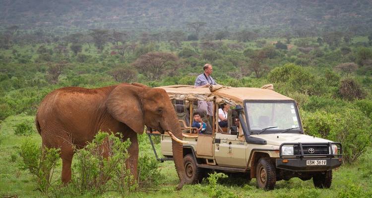 Safari romantique de 15 jours pour la lune de miel - Samson's Safaris 3