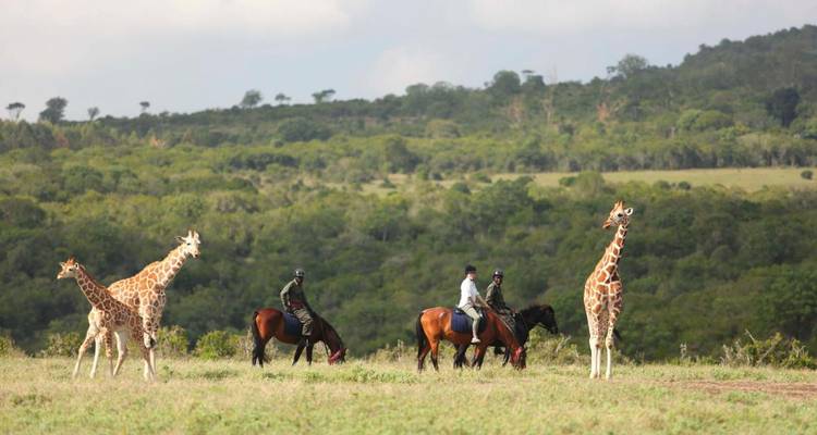 Safari romantique de 15 jours pour la lune de miel - Samson's Safaris 7