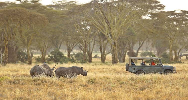 Safari de lujo de 15 días - Samson's Safaris 8