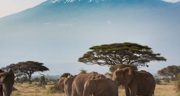 Safari de lujo de 15 días - Samson's Safaris 10