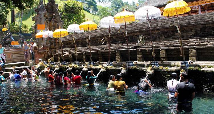 Exploring Bali: Culture and Nature Tour (Private Custom) - Odynovo 3