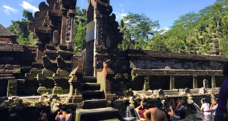 Exploring Bali: Culture and Nature Tour (Private Custom) - Odynovo 8