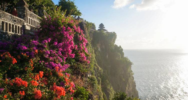 Exploring Bali: Culture and Nature Tour (Private Custom) - Odynovo 10