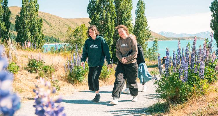 Dos amigos pasean por un sendero junto al lago bordeado de lupinos en flor contra el turquesa lago Tekapo y picos distantes.