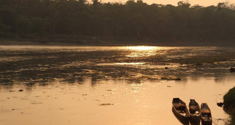 Parque Nacional de Chitwan - safari por la selva - Travel Corporation Nepal 9