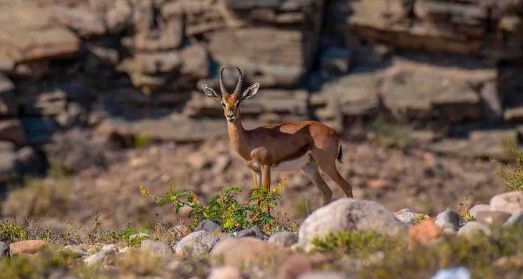 Aventure de randonnée à Oman - Yellowwood Adventures Ltd 3