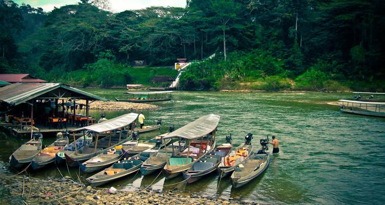 Experiencia en la selva de Taman Negara 4Días/ 3Noches - Asian Overland Services Tours & Travel  1