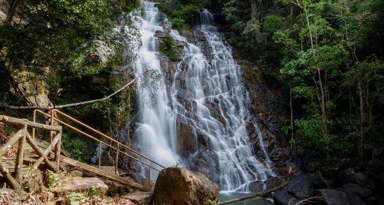 Experiencia en la selva de Taman Negara 4Días/ 3Noches - Asian Overland Services Tours & Travel  2