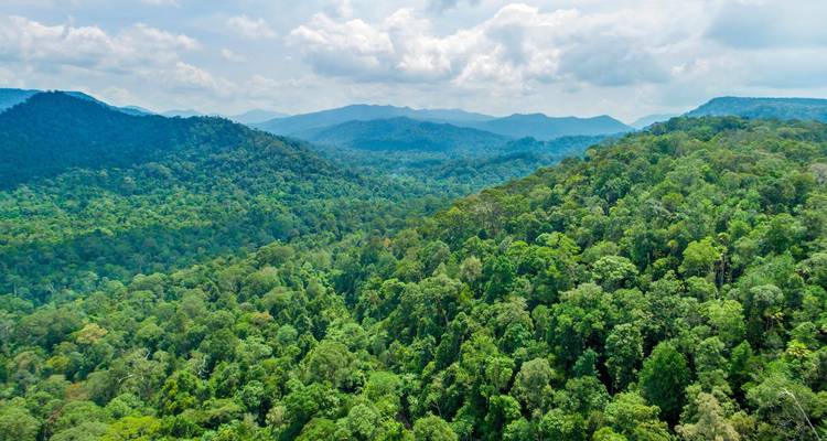 Rompin Rainforest Explorer - Asian Overland Services Tours & Travel  2