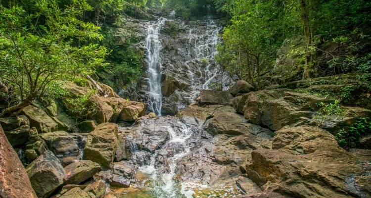 Rompin Rainforest Explorer - Asian Overland Services Tours & Travel  4