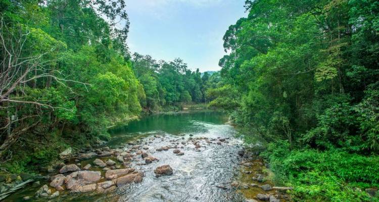 Rompin Rainforest Explorer - Asian Overland Services Tours & Travel  6