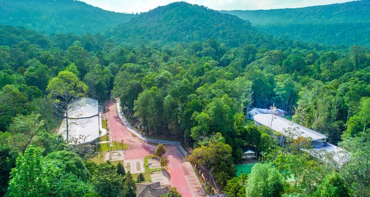 Rompin Rainforest Explorer - Asian Overland Services Tours & Travel  7
