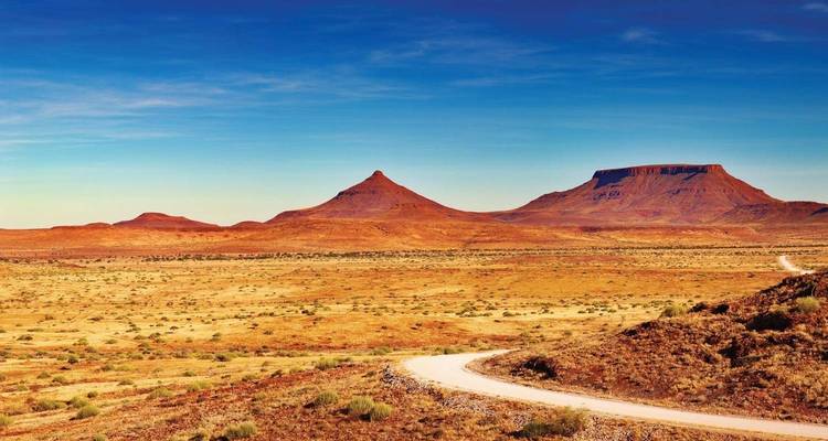 Les points forts de la Namibie - Local Safaris 8