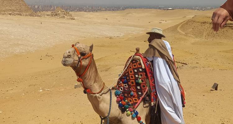 Un camello y jinete con vestimenta tradicional en un entorno desértico.