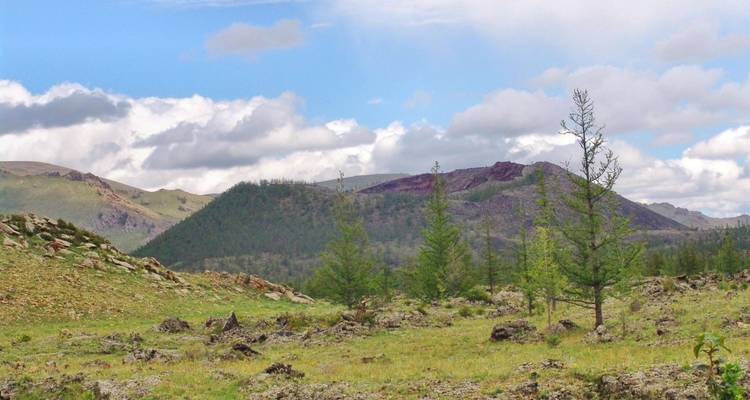 De la Estepa a la Taiga 12 días - Tengri Tours 3
