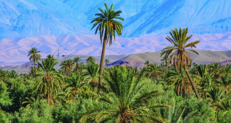 Elegancia en el Desierto: Una Expedición de 5 Días a las Maravillas de Erg Chegaga - MOROCCO DESTINATION 1