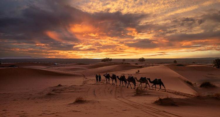 Elegancia en el Desierto: Una Expedición de 5 Días a las Maravillas de Erg Chegaga - MOROCCO DESTINATION 2