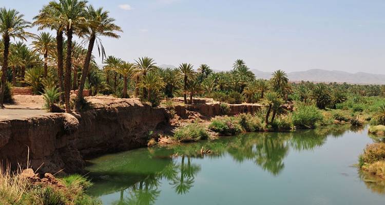 Elegancia en el Desierto: Una Expedición de 5 Días a las Maravillas de Erg Chegaga - MOROCCO DESTINATION 8