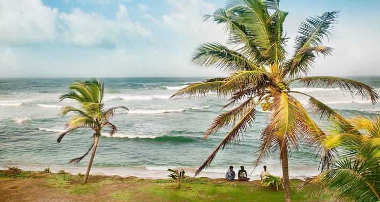 Menschen, die sich auf einer Grünfläche am Meer mit Palmen entspannen.