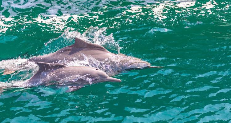 Aventura en Omán - 8 días - Peregrine Treks and Expedition Pvt Ltd 4