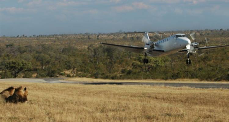 4-Day Family Safari, Madikwe Game Reserve, Big Five - Knap Tours Limited 4