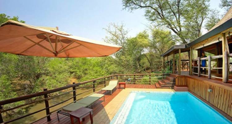 4-Day Family Safari, Madikwe Game Reserve, Big Five - Knap Tours Limited 7