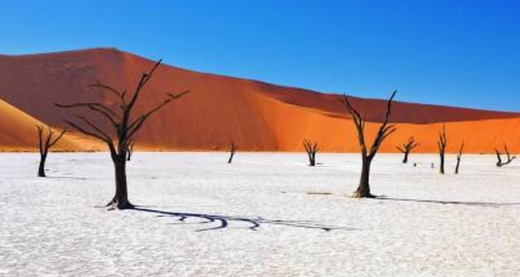 Safari de 15 días por Namibia, Botsuana y Zimbabue - Knap Tours Limited 2