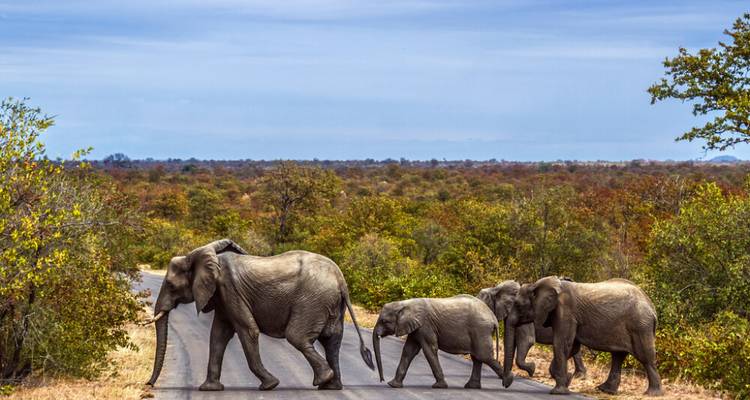 6-Day Wildlife Camping Safari in Botswana - Knap Tours Limited 7