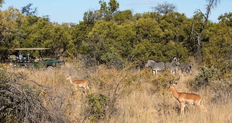 3-Day Safari Experience Near Johannesburg - Knap Tours Limited 2