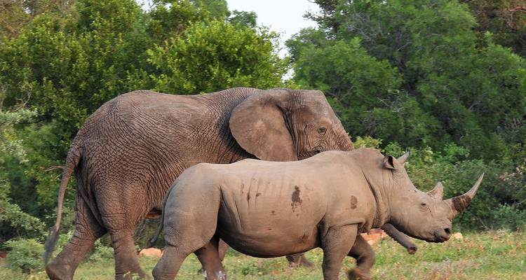 5 días de safaris, excursión en barco y excursión patrimonio de Waterberg - Knap Tours Limited 6