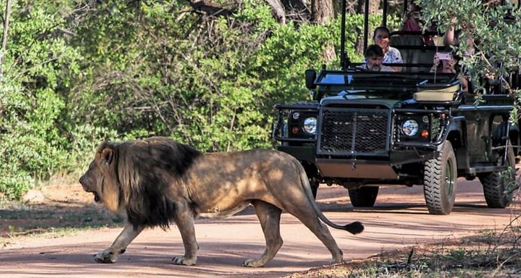 5 días de safaris, excursión en barco y excursión patrimonio de Waterberg - Knap Tours Limited 8