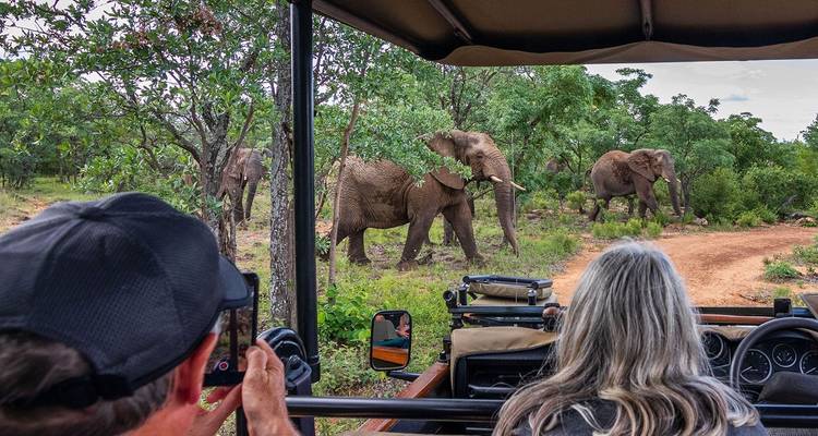 5 días de safaris, excursión en barco y excursión patrimonio de Waterberg - Knap Tours Limited 9