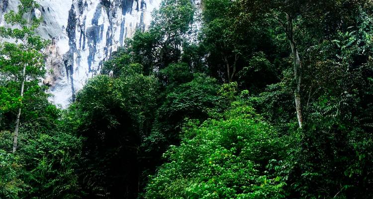 Parque Nacional de Gunung Mulu - Asian Overland Services Tours & Travel  1