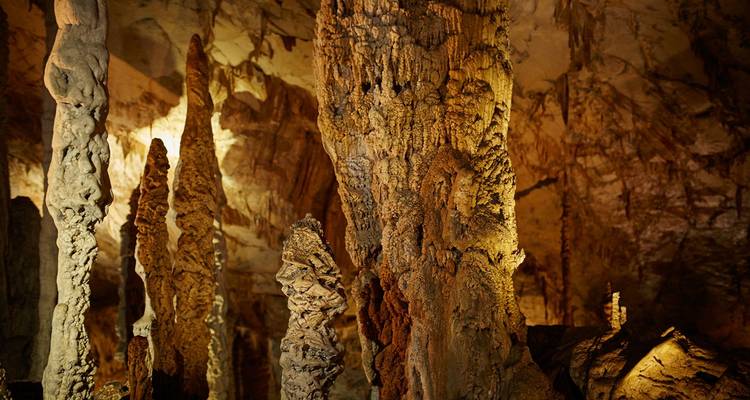 Parque Nacional de Gunung Mulu - Asian Overland Services Tours & Travel  6