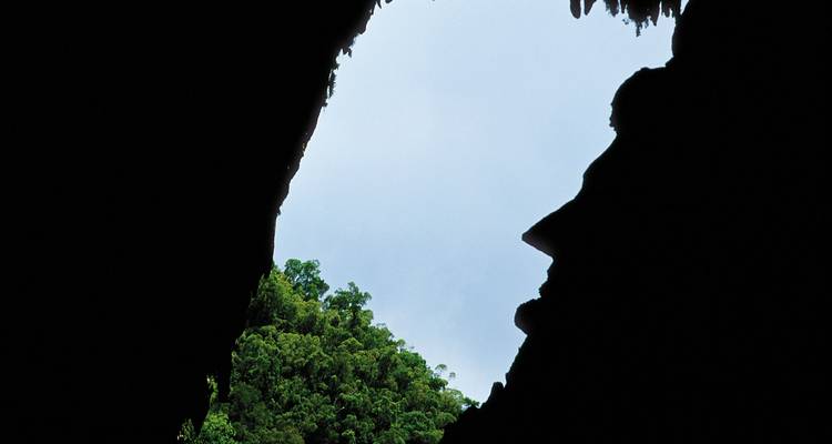 Parque Nacional de Gunung Mulu - Asian Overland Services Tours & Travel  7