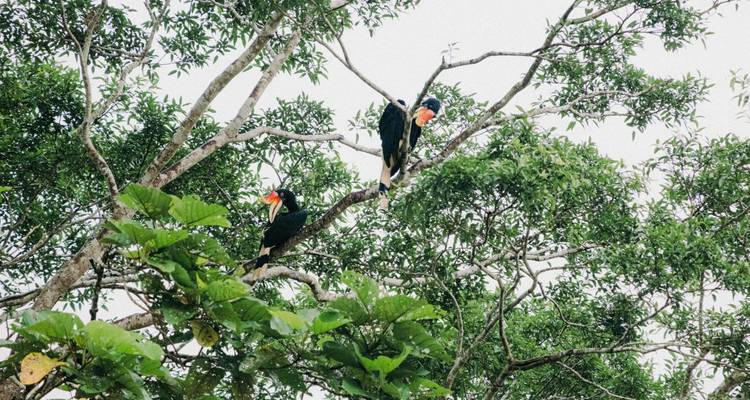 Safari d'exploration à Sandakan - Asian Overland Services Tours & Travel  3