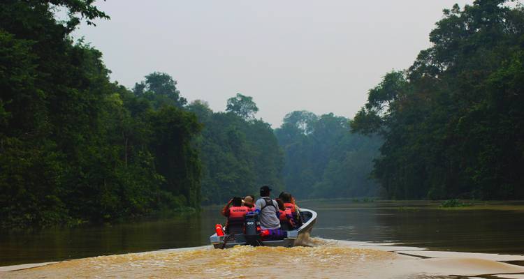 Sentier de la faune et de la flore Sabah - Asian Overland Services Tours & Travel  3