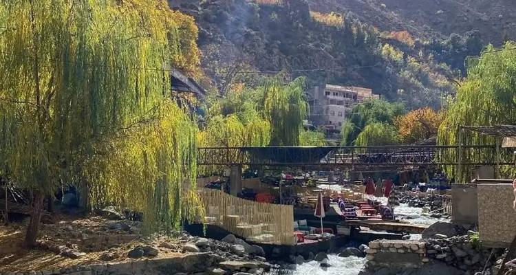 Zona ribereña con árboles frondosos y asientos bajo luz natural brillante.