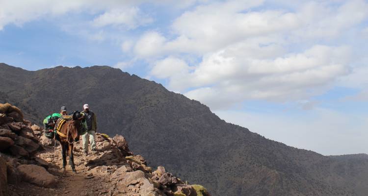 Dos viajeros y un caballo contra un telón de fondo montañoso.