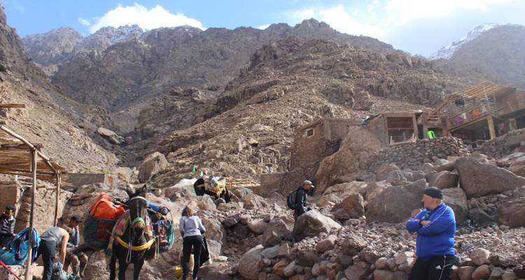 Excursionistas descansando con burros cargados en un sitio montañoso rocoso.