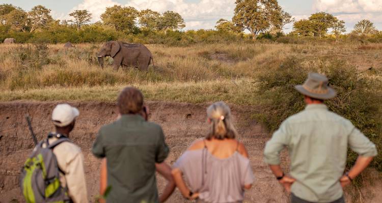 Circuit romantique, de luxe, sauvage et fluvial de 5 jours au Botswana - Knap Tours Limited 3
