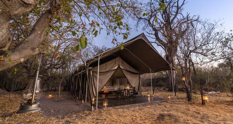 Circuit romantique, de luxe, sauvage et fluvial de 5 jours au Botswana - Knap Tours Limited 7