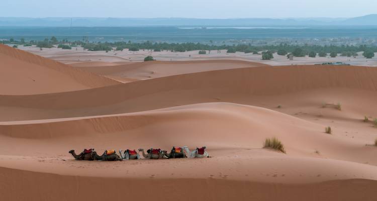 Sands and Stories: A 3-Day Marrakech to Merzouga Adventure, Returning to Fez - MOROCCO DESTINATION 4