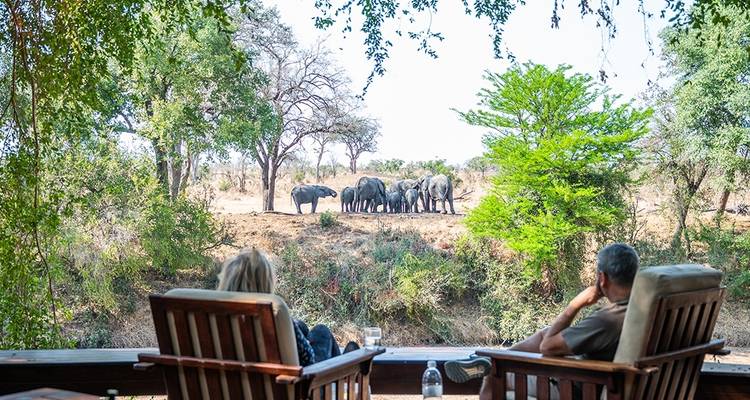 7-Day Kruger Game Drive, Panorama and Capetown Experience - Knap Tours Limited 1