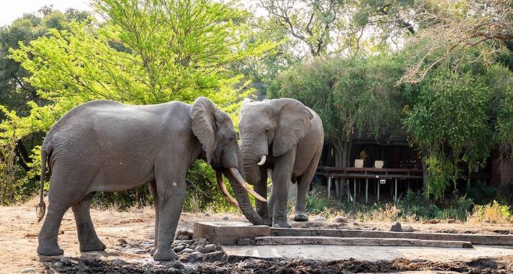 7-Day Kruger Game Drive, Panorama and Capetown Experience - Knap Tours Limited 3