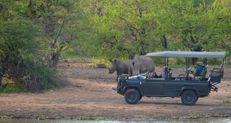 7-Day Kruger Game Drive, Panorama and Capetown Experience - Knap Tours Limited 9
