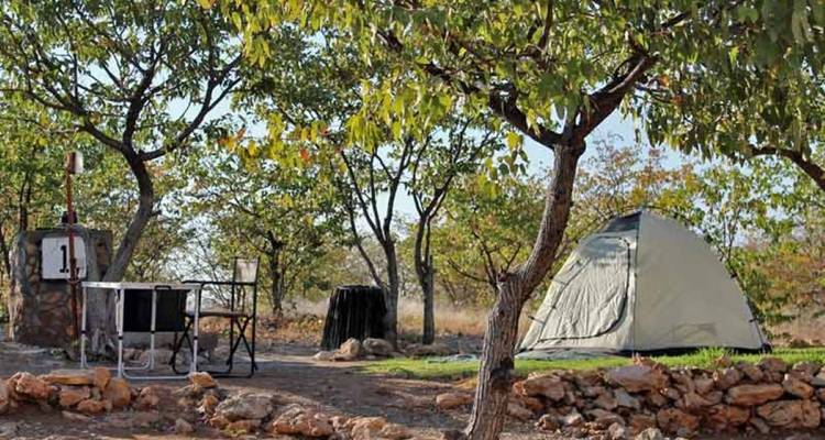 Recorrido de 7 días por Namibia para conocer la fauna y el intercambio cultural - Knap Tours Limited 8