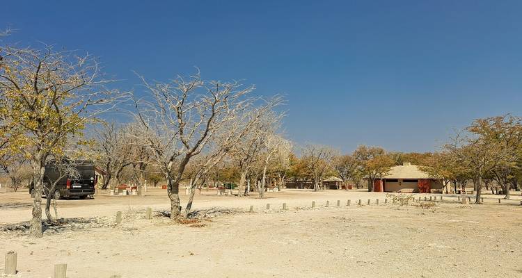 Recorrido de 7 días por Namibia para conocer la fauna y el intercambio cultural - Knap Tours Limited 9