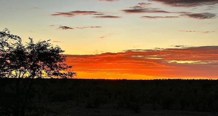 Recorrido de 7 días por Namibia para conocer la fauna y el intercambio cultural - Knap Tours Limited 10